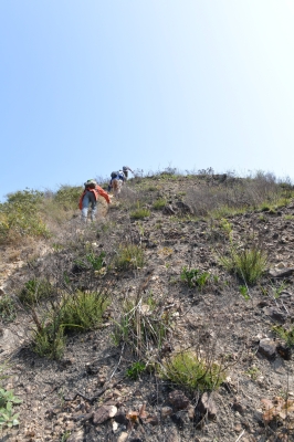 R04_9688.jpg