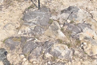 R04_9693.jpg