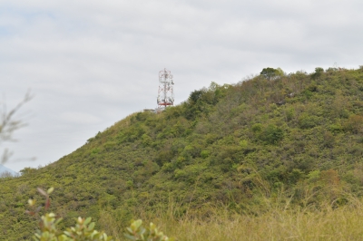 R04_9786.jpg