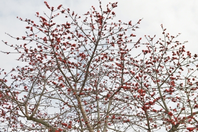 R04_9834.jpg