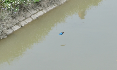 R04_9843.jpg