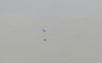 R04_9844.jpg