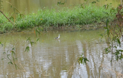 R04_9847.jpg