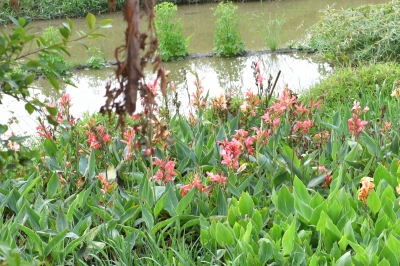 R04_9850.jpg