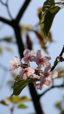 IMG_7351.JPG