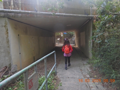 DSCN2746.JPG