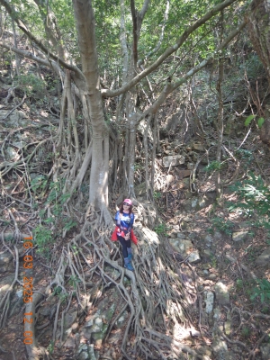 DSCN2887.JPG