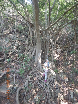DSCN2888.JPG