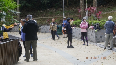 _DSF0034.JPG