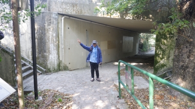 _DSF0088.JPG