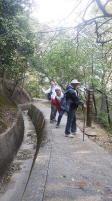 _DSF0095.JPG