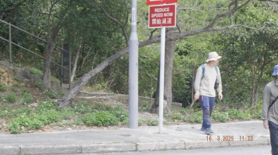 _DSF0113.JPG