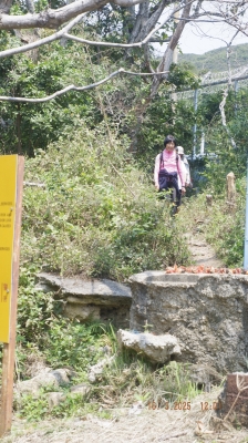 _DSF0144.JPG