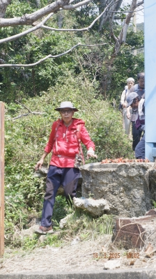 _DSF0146.JPG