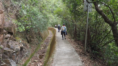 P3160411.JPG