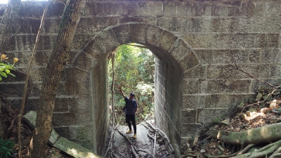 P3160433.JPG
