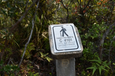R04_9920.jpg