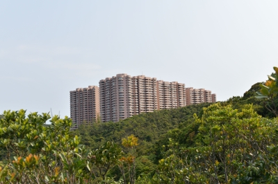 R04_9921.jpg