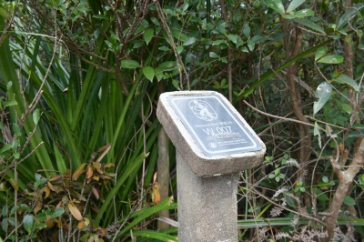 R04_9955.jpg