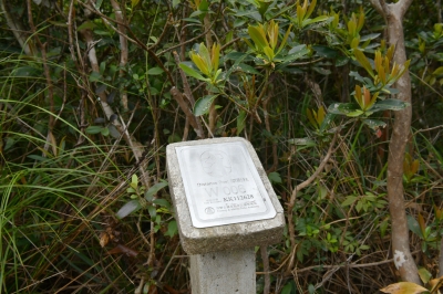 R04_9969.jpg