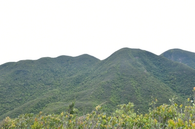 R04_9970.jpg