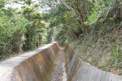 R04_9978.jpg