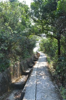 R04_9984.jpg
