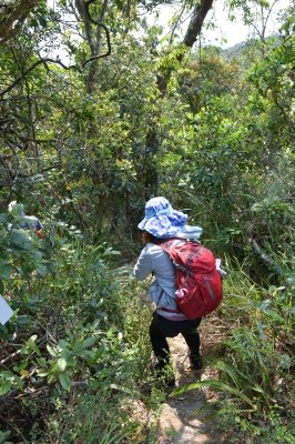 R04_9988.jpg