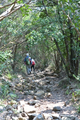 R05_0001.jpg