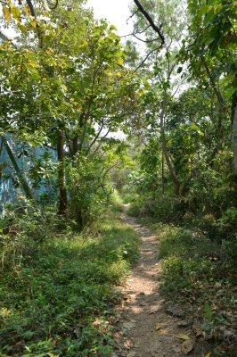 R05_0044.jpg