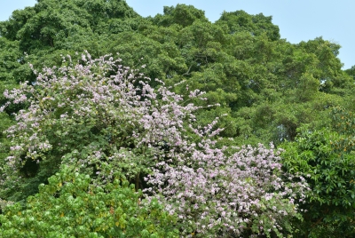 R05_0058.jpg
