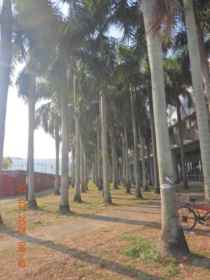 DSCN2921.JPG
