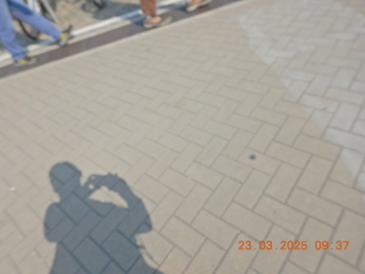 DSCN2957.JPG