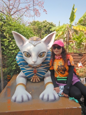 DSCN2981.JPG