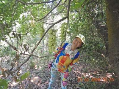 DSCN3006.JPG
