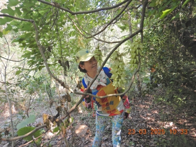 DSCN3007.JPG