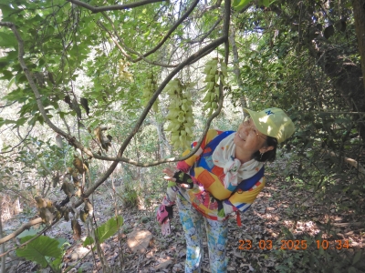 DSCN3009.JPG