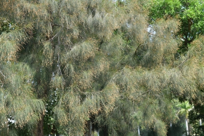 R05_0185.jpg