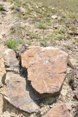 R05_0235.jpg