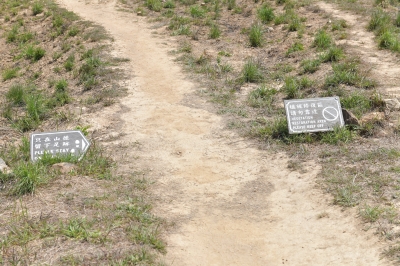 R05_0259.jpg