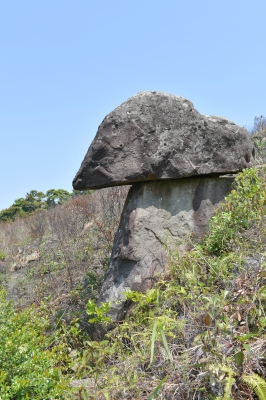 R05_0308.jpg