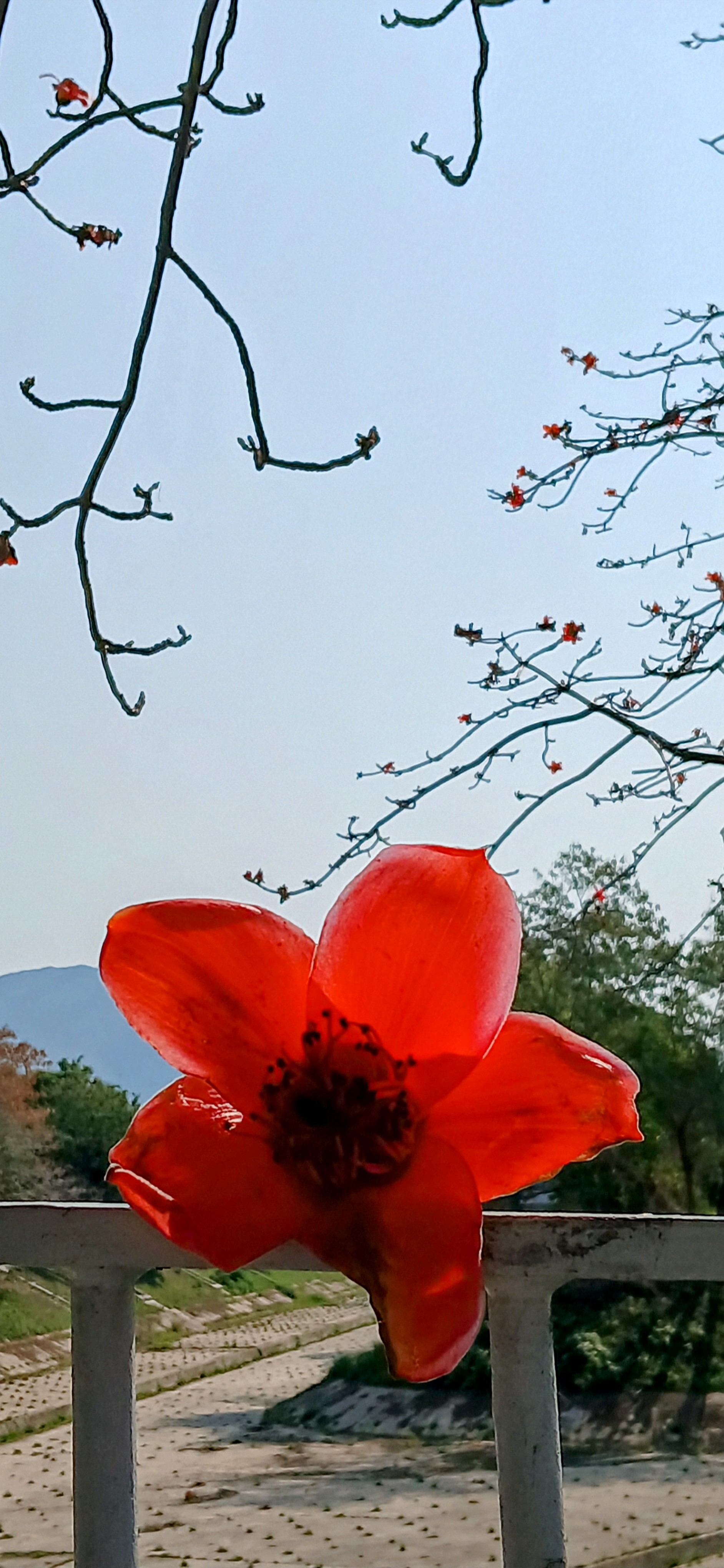 20250323_093743~2.jpg