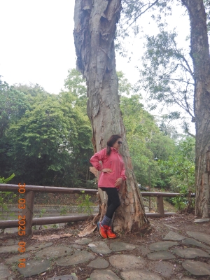 DSCN3126.JPG