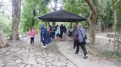 _DSF0040.JPG