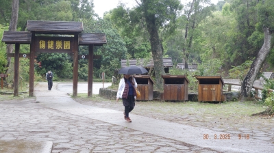 _DSF0041.JPG
