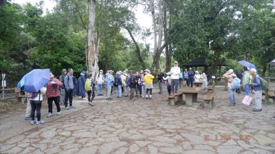_DSF0073.JPG