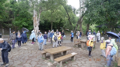 _DSF0074.JPG