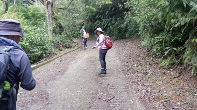 _DSF0135.JPG