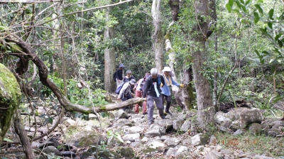 _DSF0159.JPG