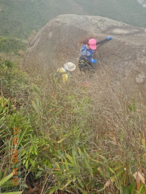 DSCN3378.JPG